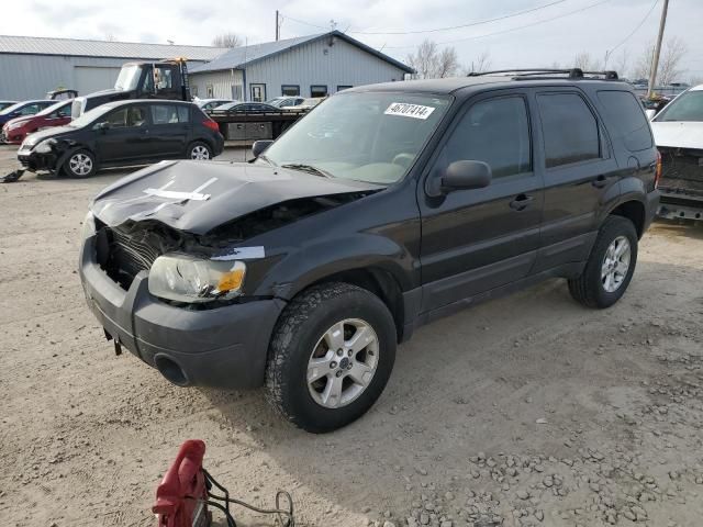 2006 Ford Escape XLT