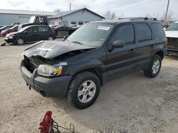 Salvage cars for sale from Copart Pekin, IL: 2006 Ford Escape XLT