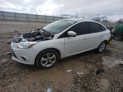 Ford Focus salvage cars for sale: 2013 Ford Focus SE