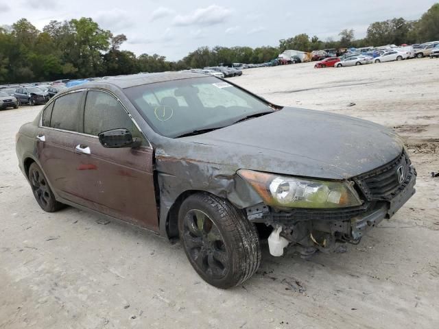 2010 Honda Accord EXL