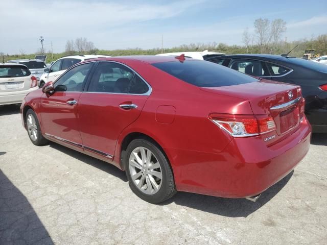 2010 Lexus ES 350