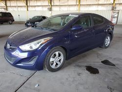 Salvage cars for sale at Phoenix, AZ auction: 2014 Hyundai Elantra SE