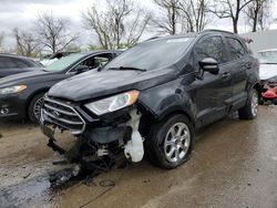 Salvage cars for sale at Bridgeton, MO auction: 2018 Ford Ecosport SE