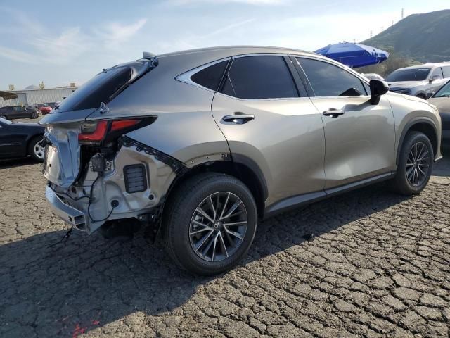 2024 Lexus NX 250 Premium