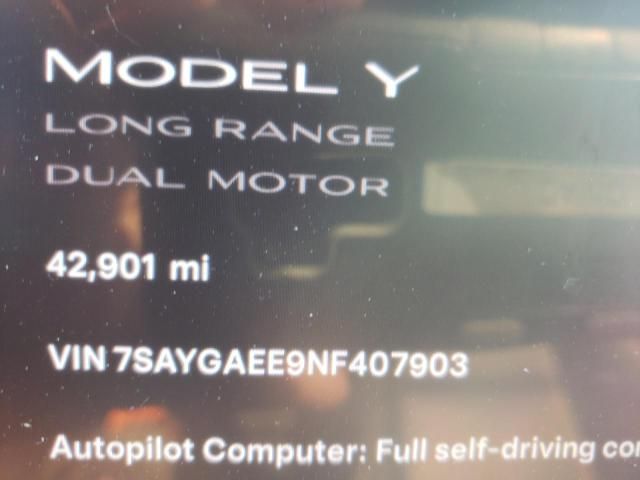 2022 Tesla Model Y