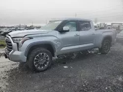 Salvage cars for sale at Eugene, OR auction: 2024 Toyota Tundra Crewmax Limited