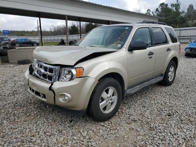 2010 Ford Escape XLT