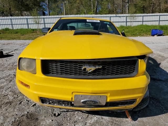 2005 Ford Mustang