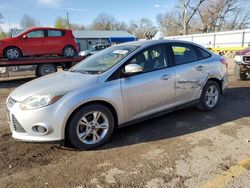 Ford Focus salvage cars for sale: 2013 Ford Focus SE