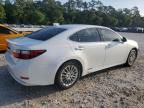 2013 Lexus ES 300H