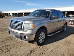 Salvage cars for sale from Copart Phoenix, AZ: 2011 Ford F150 Supercrew