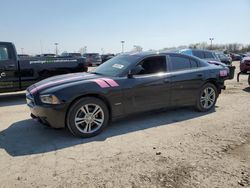 Salvage cars for sale at Indianapolis, IN auction: 2013 Dodge Charger R/T