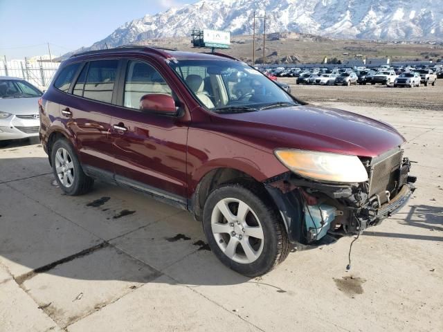 2009 Hyundai Santa FE SE