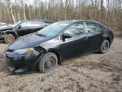 Salvage cars for sale from Copart Ontario Auction, ON: 2018 Toyota Corolla L