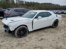 Salvage cars for sale from Copart Seaford, DE: 2019 Dodge Challenger R/T Scat Pack