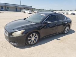 Nissan Maxima salvage cars for sale: 2009 Nissan Maxima S