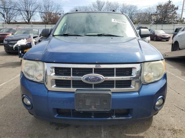 2008 Ford Escape XLT