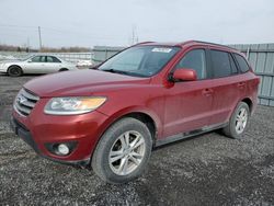 Salvage cars for sale from Copart Ontario Auction, ON: 2012 Hyundai Santa FE GLS