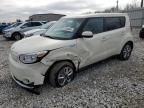 2017 KIA Soul EV