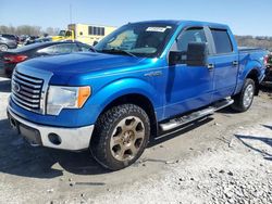 Ford salvage cars for sale: 2010 Ford F150 Supercrew