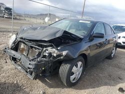 Toyota Camry salvage cars for sale: 2009 Toyota Camry SE