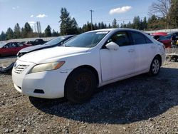 Salvage cars for sale at Graham, WA auction: 2009 Toyota Camry Base