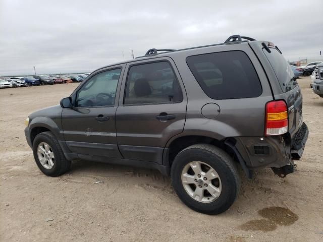 2006 Ford Escape XLT