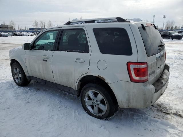 2011 Ford Escape Limited