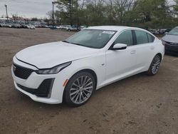 Cadillac CT5 salvage cars for sale: 2020 Cadillac CT5 Premium Luxury