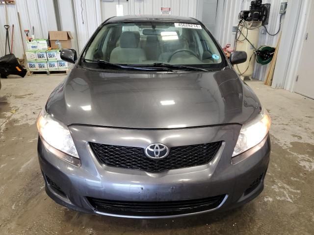 2009 Toyota Corolla Base