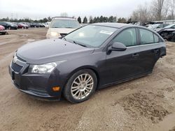 Salvage cars for sale at Elgin, IL auction: 2014 Chevrolet Cruze ECO