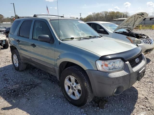 2007 Ford Escape XLT