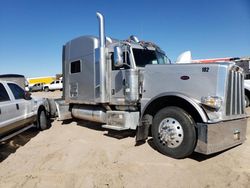Salvage trucks for sale at Albuquerque, NM auction: 2010 Peterbilt 389