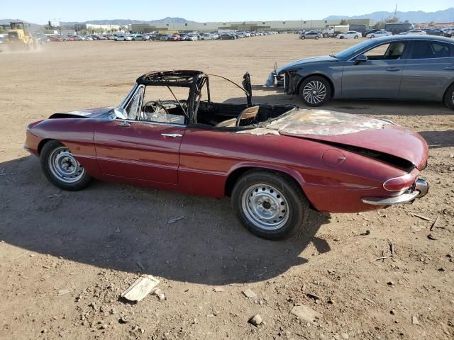 1966 Alfa Romeo Spider