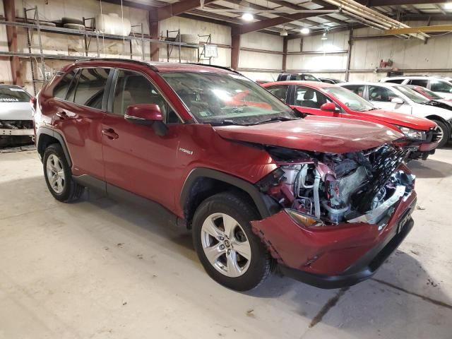 2019 Toyota Rav4 XLE