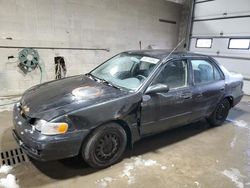 1999 Toyota Corolla VE for sale in Blaine, MN