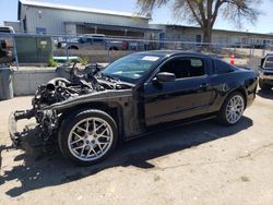 Salvage cars for sale at Albuquerque, NM auction: 2014 Ford Mustang GT