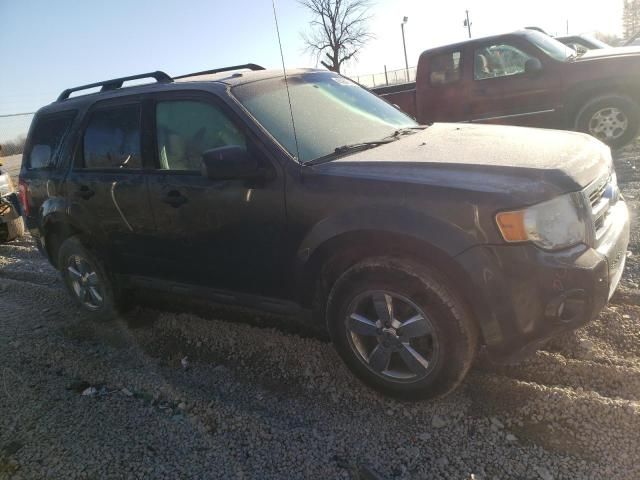 2009 Ford Escape XLT