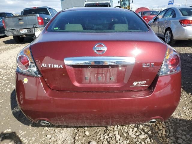 2010 Nissan Altima Base