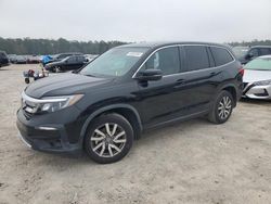 Honda salvage cars for sale: 2019 Honda Pilot EXL