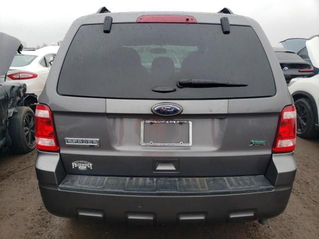 2011 Ford Escape XLT