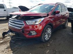 Salvage cars for sale at Elgin, IL auction: 2019 Ford Escape SEL