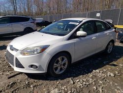 Ford Focus salvage cars for sale: 2014 Ford Focus SE