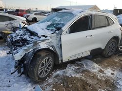 Salvage cars for sale at Brighton, CO auction: 2022 Ford Escape SEL