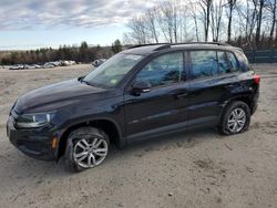 Salvage cars for sale at Candia, NH auction: 2016 Volkswagen Tiguan S