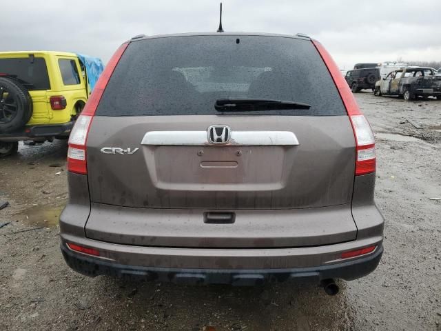 2010 Honda CR-V EX