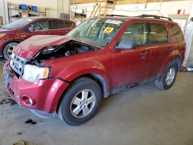 2009 Ford Escape XLT