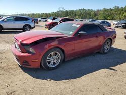 Salvage cars for sale from Copart Greenwell Springs, LA: 2014 Ford Mustang