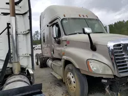 Salvage trucks for sale at Harleyville, SC auction: 2013 Freightliner Cascadia 125