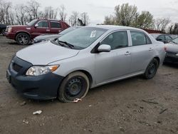 Salvage cars for sale from Copart Baltimore, MD: 2010 Toyota Corolla Base